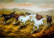 unknow artist Horses 08 oil painting reproduction